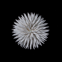 Цветы из кожзама HD1235-5 белый (25 шт.)