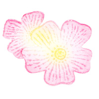 Аппликация пришивная "Два цветка" 17-RH503 темно-малиновая (уп. 50 шт.)