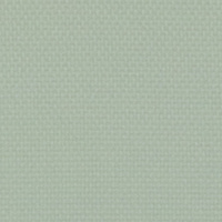 Подкладочная ткань 302 светло-зеленая E 5080 (190) SO